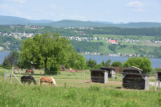 Tour image 4